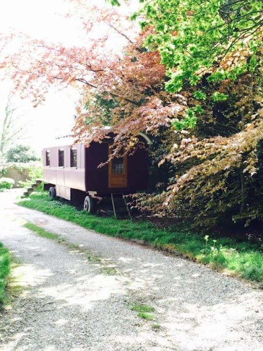 Luxurious 1930S Showman'S Wagon Heathfield Eksteriør bilde